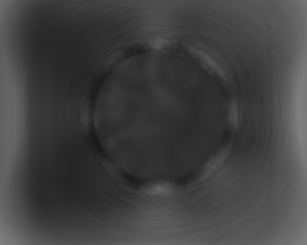 X0000100920569200807081153