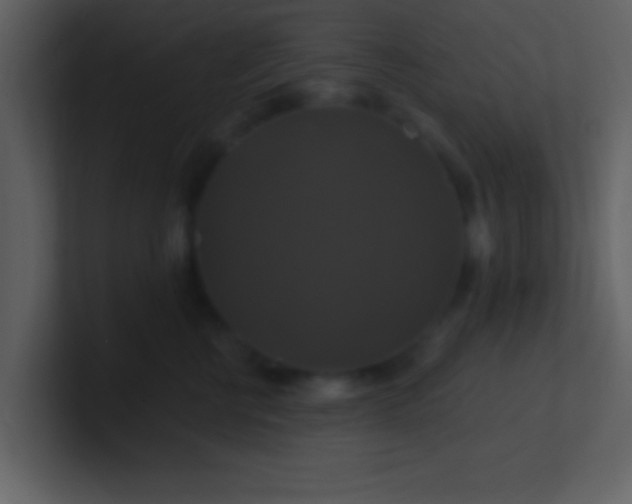 X0000100920570200807081153