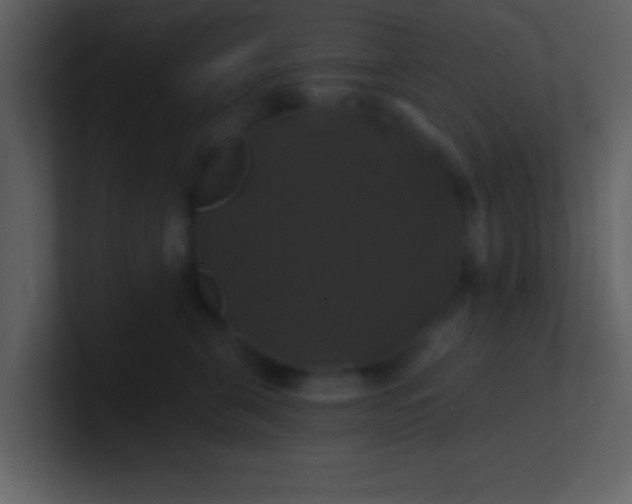 X0000100920571200807081153