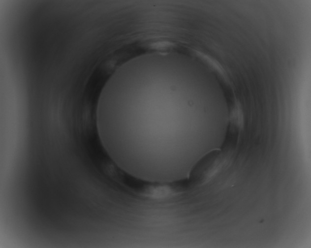 X0000100920572200807081153