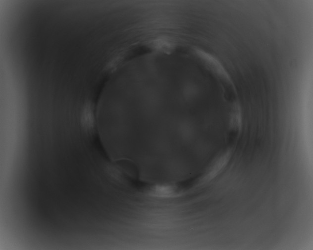 X0000100920573200807081153