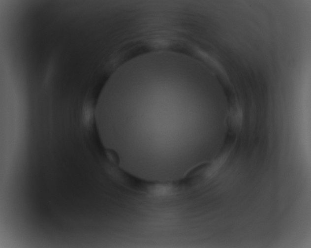 X0000100920574200807081153