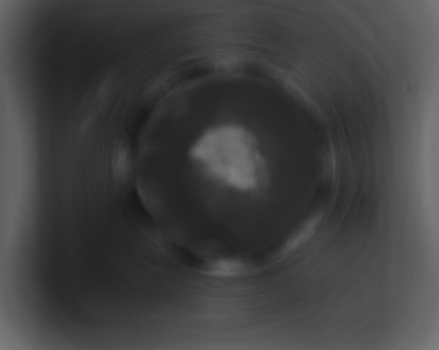 X0000100920575200807081153