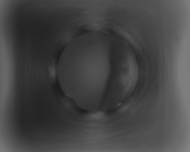 X0000100920576200807081153