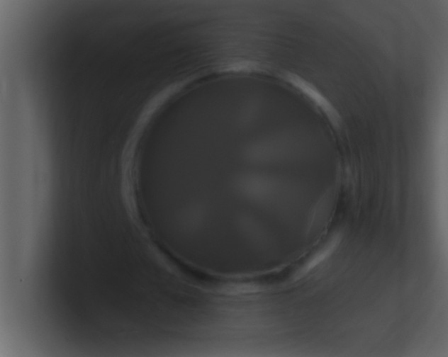 X0000100920577200807081153