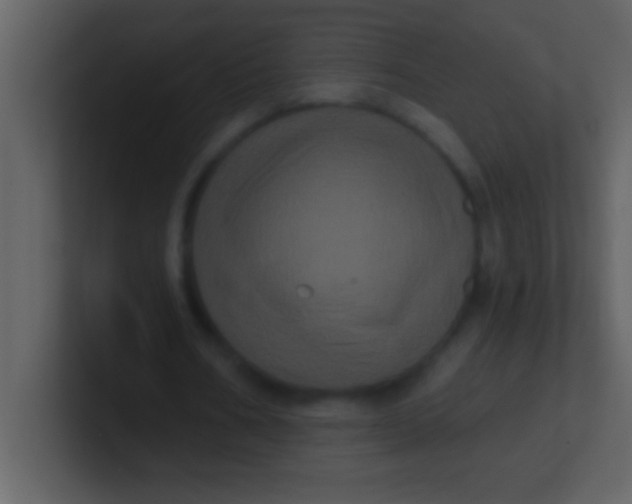 X0000100920578200807081153