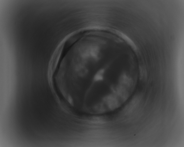 X0000100920580200807081153