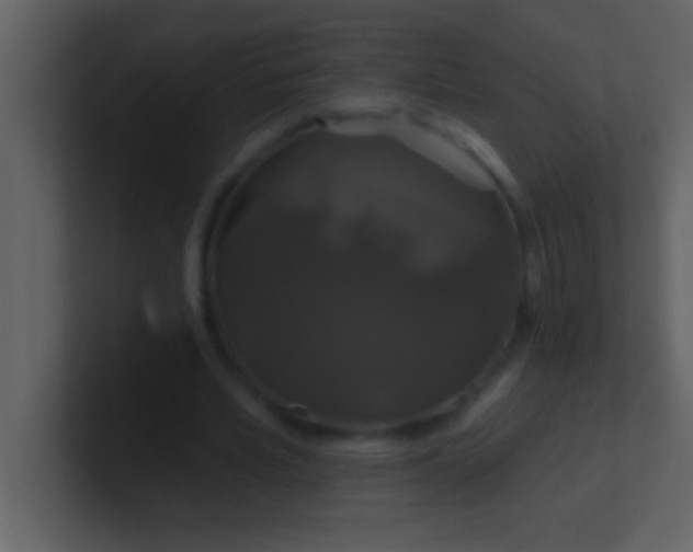 X0000100920581200807081153