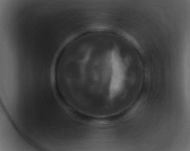 X0000100920582200807081153