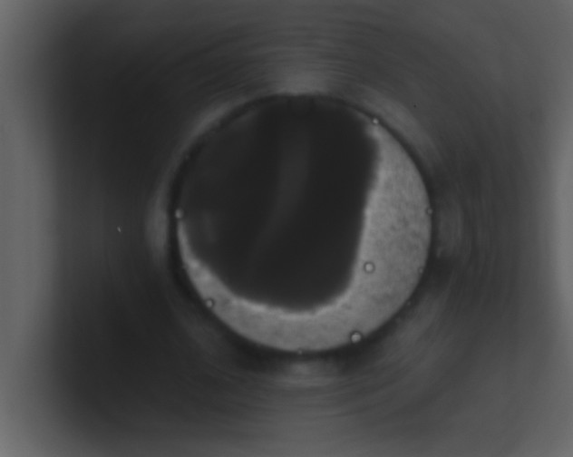 X0000100920584200807081153