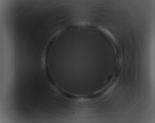 X0000100920585200807081153