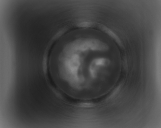 X0000100920586200807081153