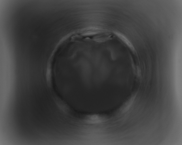 X0000100920588200807081153