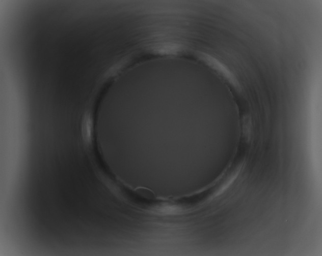 X0000100920589200807081153