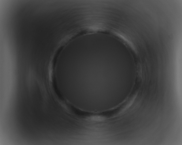 X0000100920590200807081153