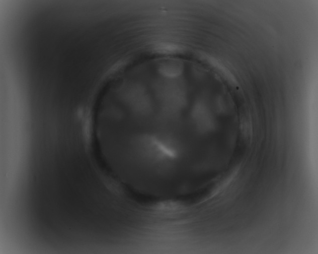 X0000100920591200807081153