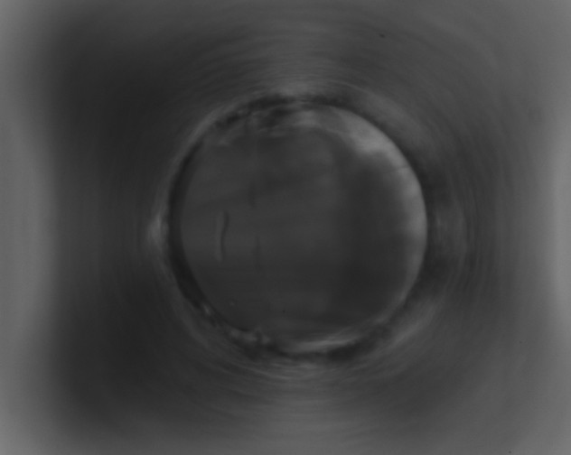 X0000100920592200807081153