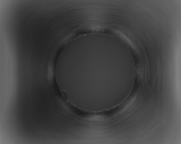 X0000100920593200807081153