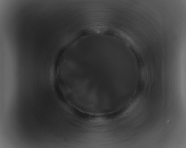 X0000100920594200807081153