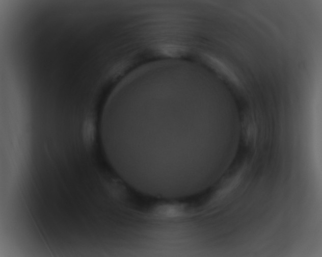 X0000100920595200807081153