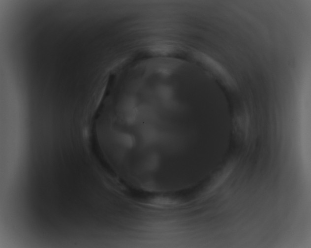 X0000100920596200807081153