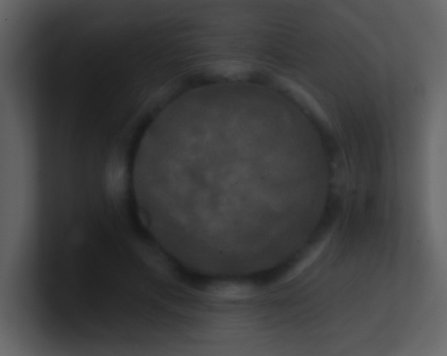 X0000100920597200807081153