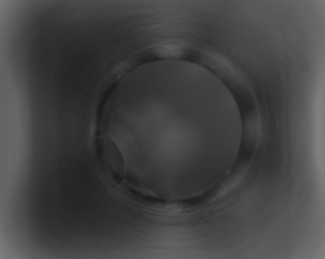 X0000100920600200807081152