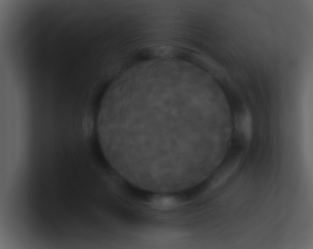 X0000100920602200807081152