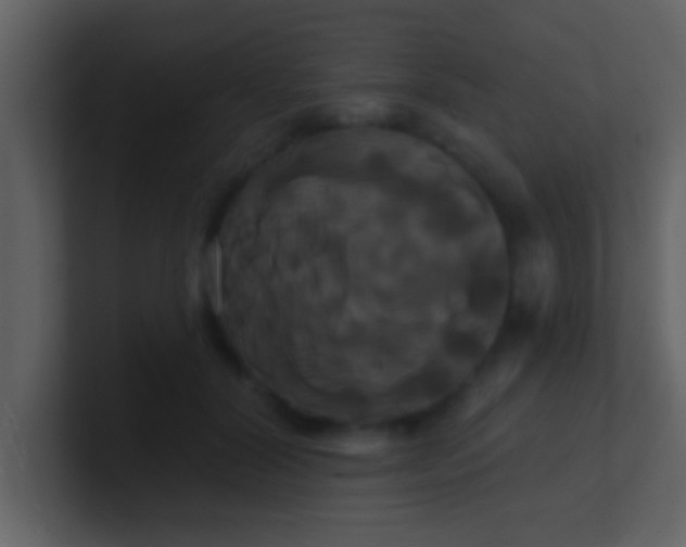 X0000100920604200807081152