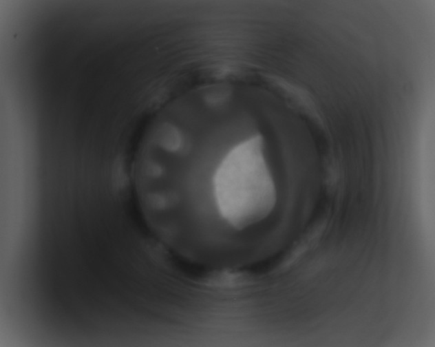 X0000100920607200807081152