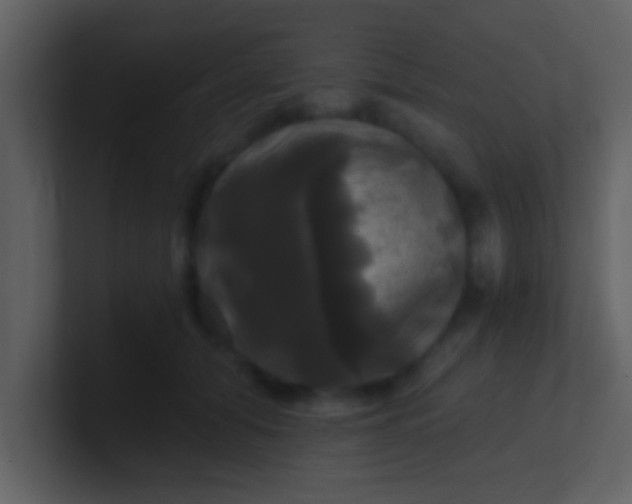 X0000100920608200807081152