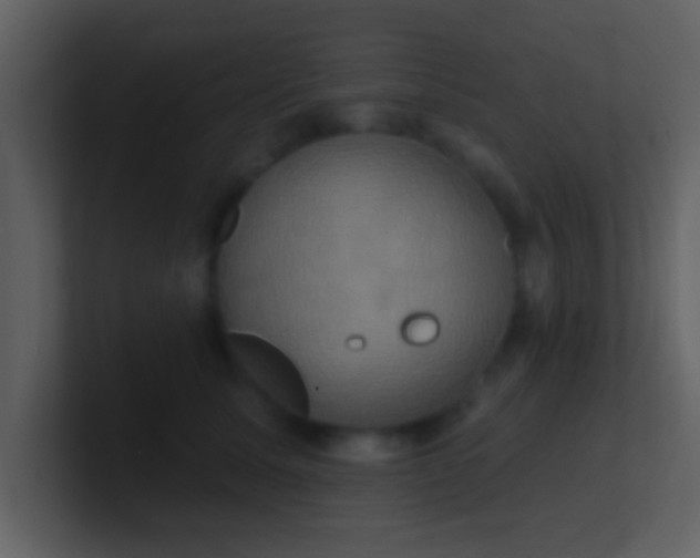 X0000100920611200807081152