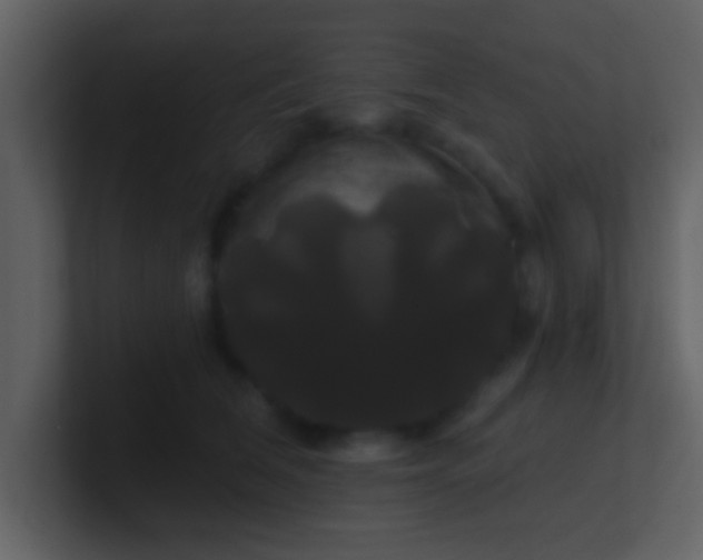 X0000100920612200807081152