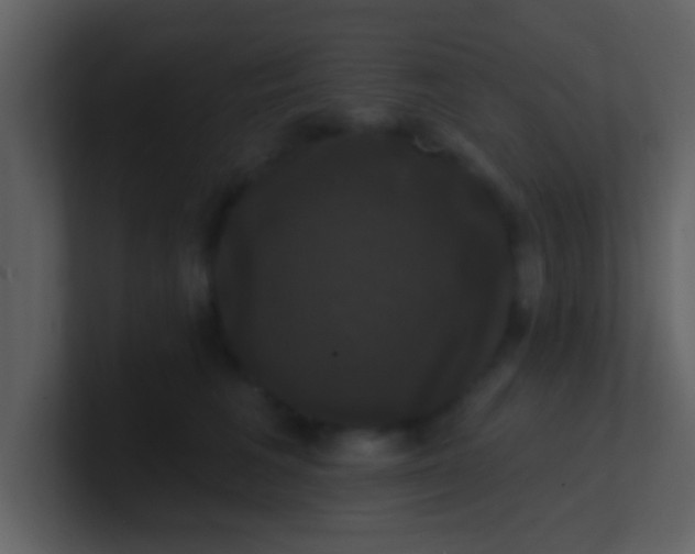 X0000100920613200807081152