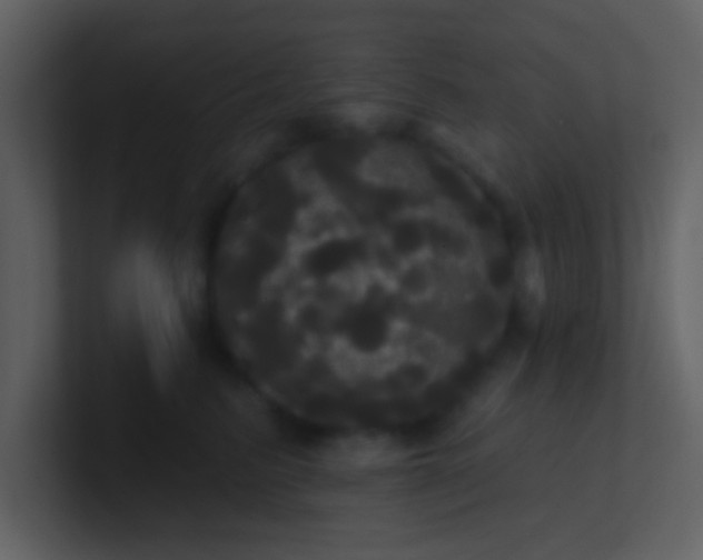 X0000100920615200807081152