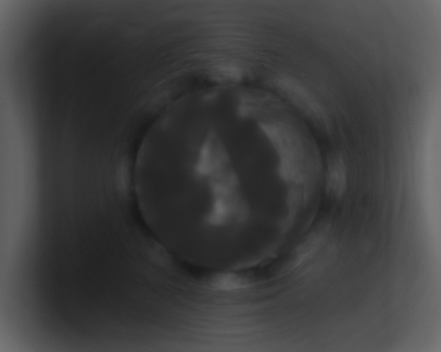 X0000100920616200807081152