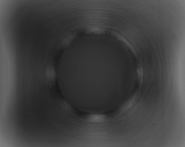 X0000100920617200807081152