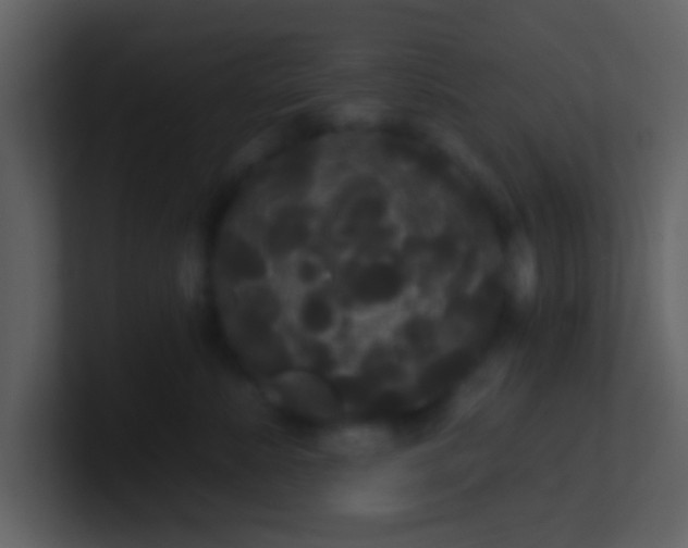 X0000100920619200807081152