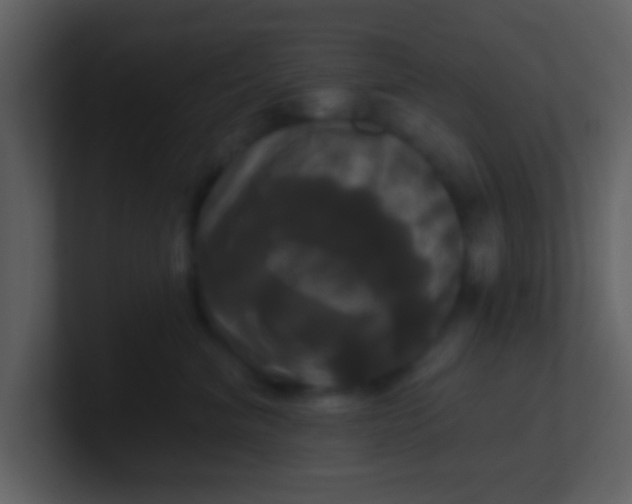 X0000100920620200807081152