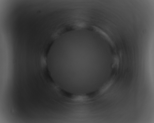 X0000100920621200807081152