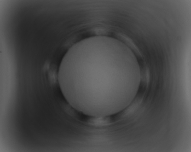 X0000100920622200807081152