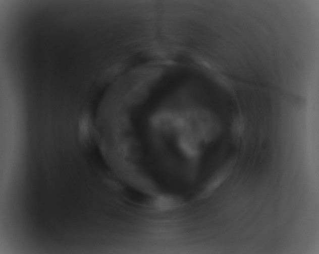 X0000100920623200807081152