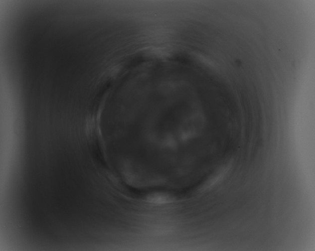 X0000100920624200807081152