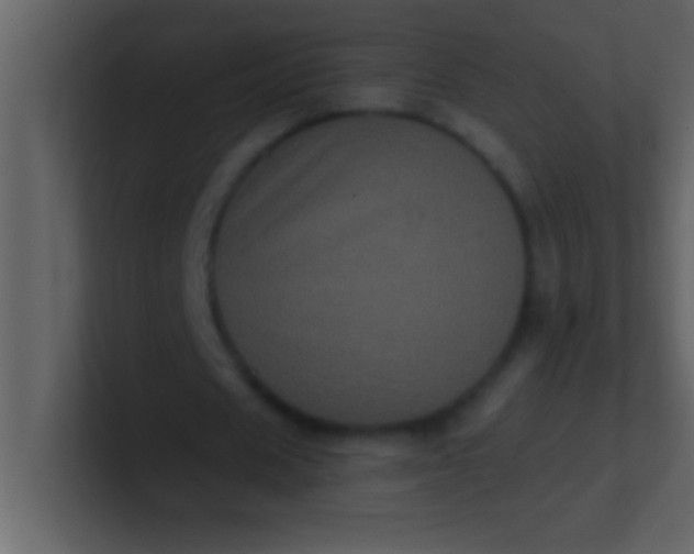 X0000100920625200807081151