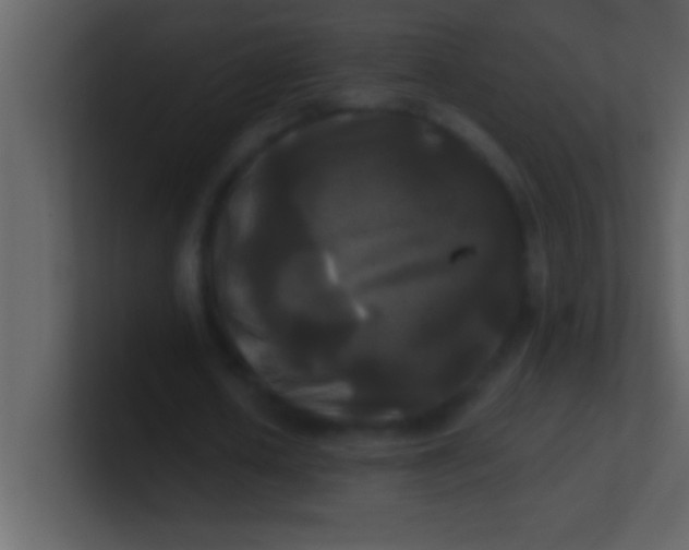 X0000100920626200807081152