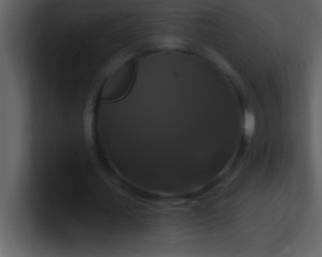 X0000100920627200807081152