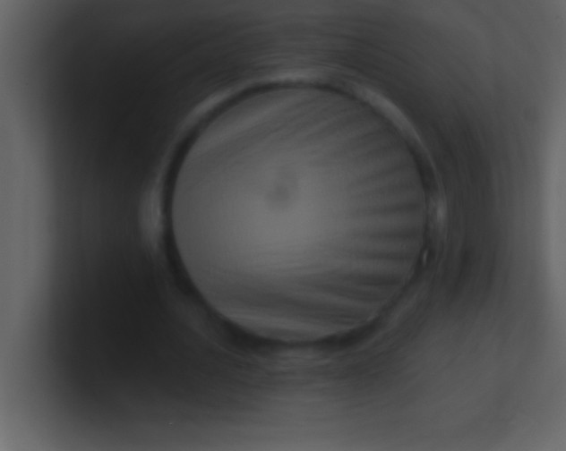 X0000100920628200807081152