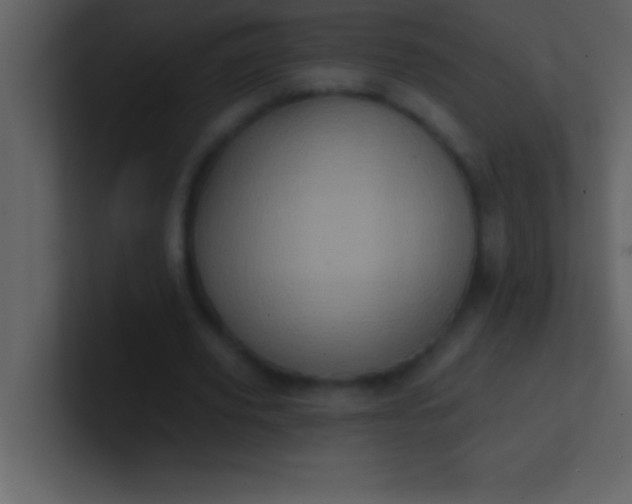 X0000100920629200807081152