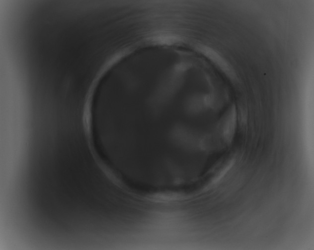 X0000100920630200807081152