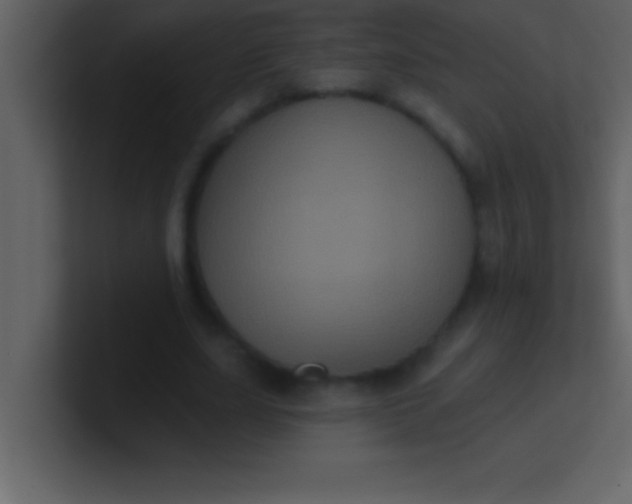 X0000100920631200807081152